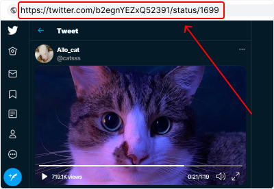 Buka video Twitter yang ingin Anda unduh dan salin tautannya.